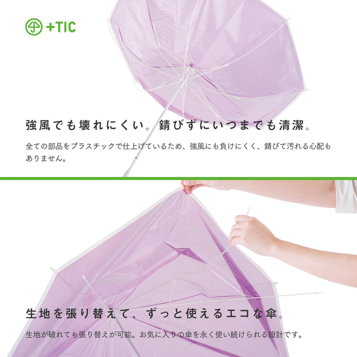 ＋TIC　プラスチック　BOLD BORDER