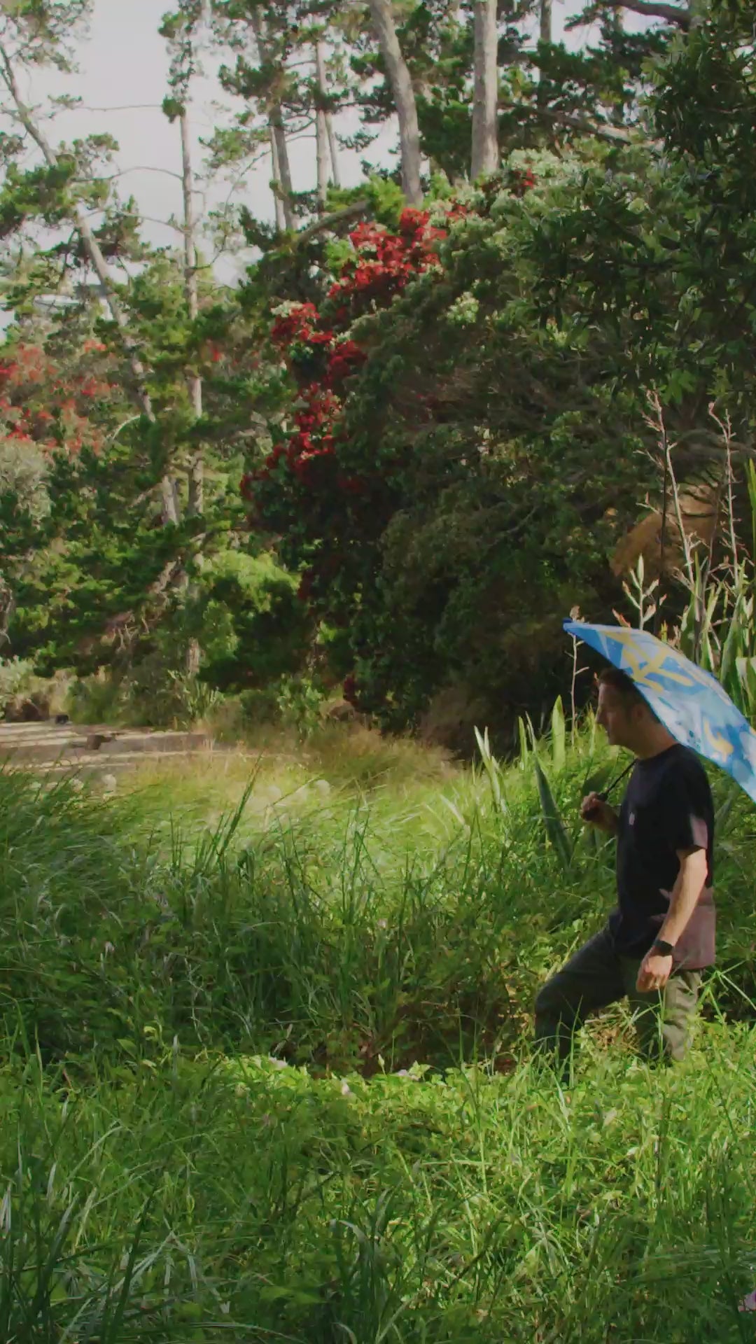 【Special Price】【数量限定】BLUNTxGreg Straight　 METRO （ブラント メトロ）